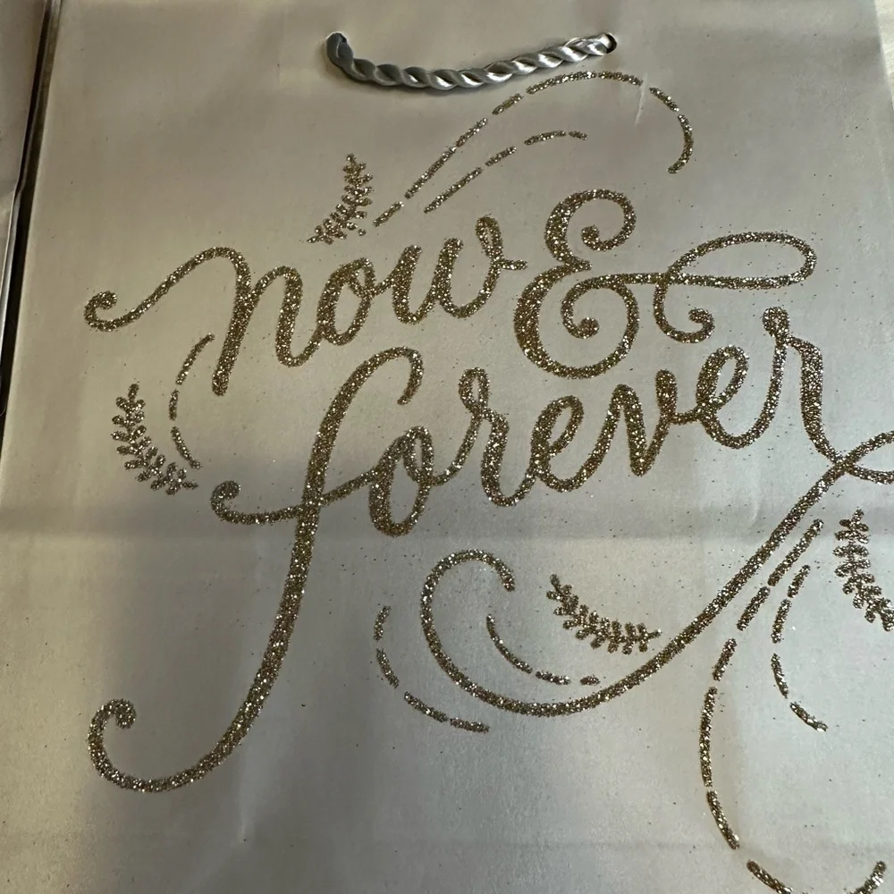 🩵5/$8 gift bags